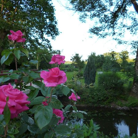 Le Moulin Du Bignon Bed & Breakfast Lassy Dış mekan fotoğraf