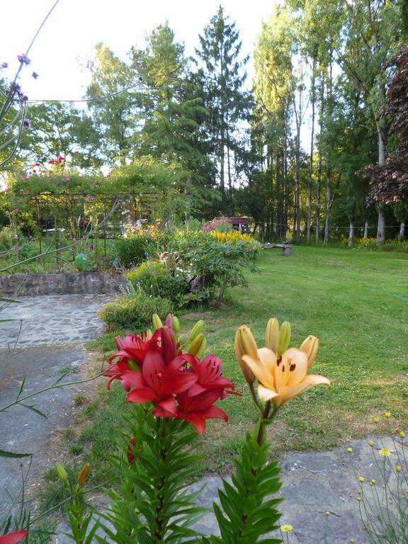 Le Moulin Du Bignon Bed & Breakfast Lassy Dış mekan fotoğraf