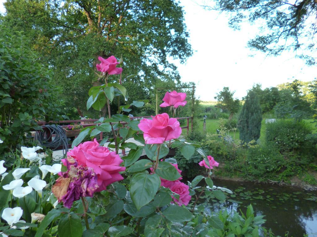 Le Moulin Du Bignon Bed & Breakfast Lassy Dış mekan fotoğraf